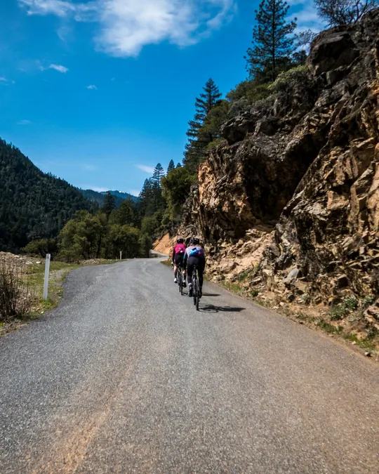 Two cyclists climbing a mountain road
